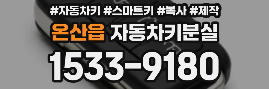 온산읍 자동차키분실
