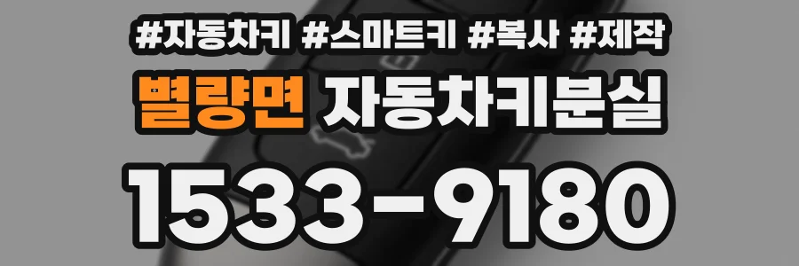 별량면 자동차키분실