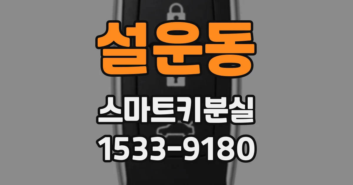 설운동 스마트키분실
