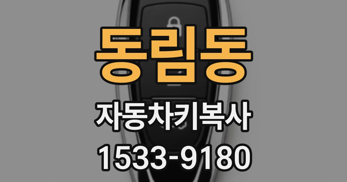 동림동 자동차키복사