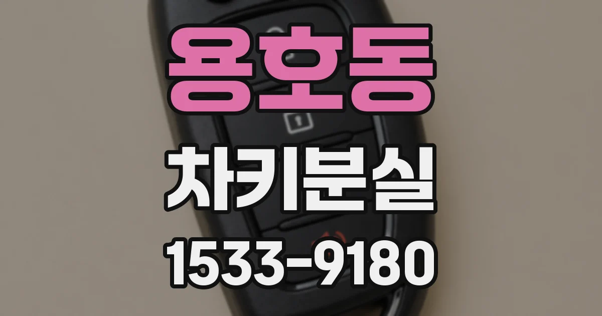 용호동 차키분실
