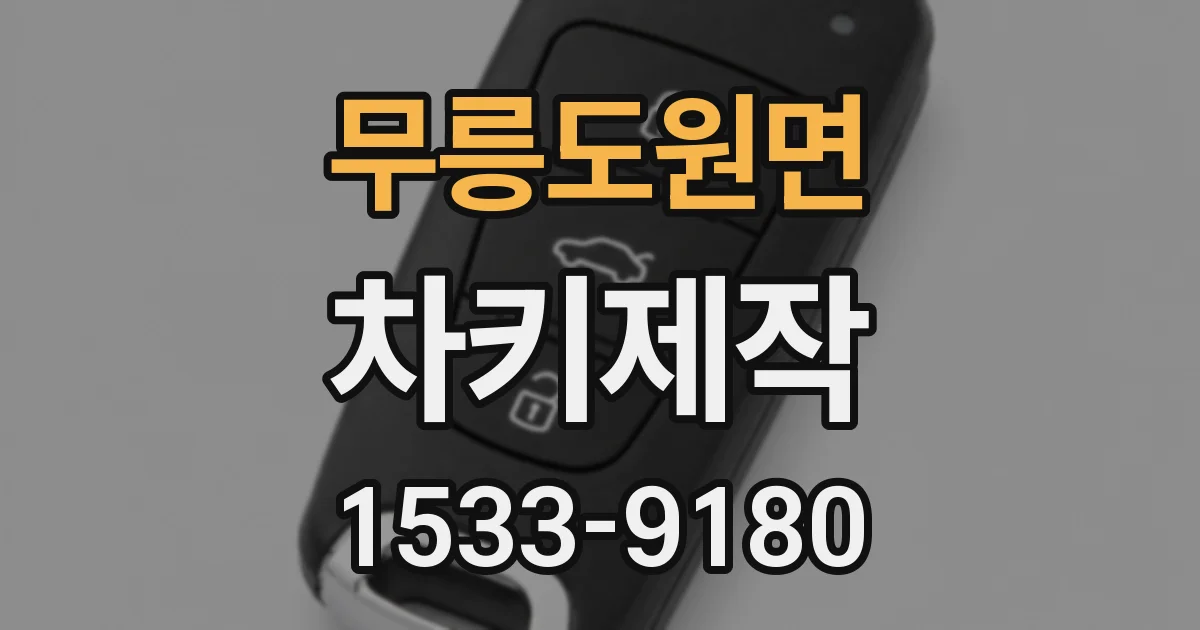 무릉도원면 차키제작