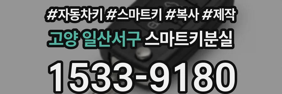 고양 일산서구 스마트키분실