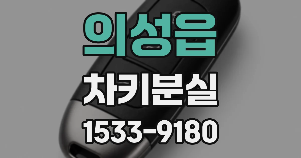 의성읍 차키분실