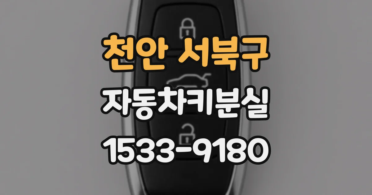 천안 서북구 자동차키분실