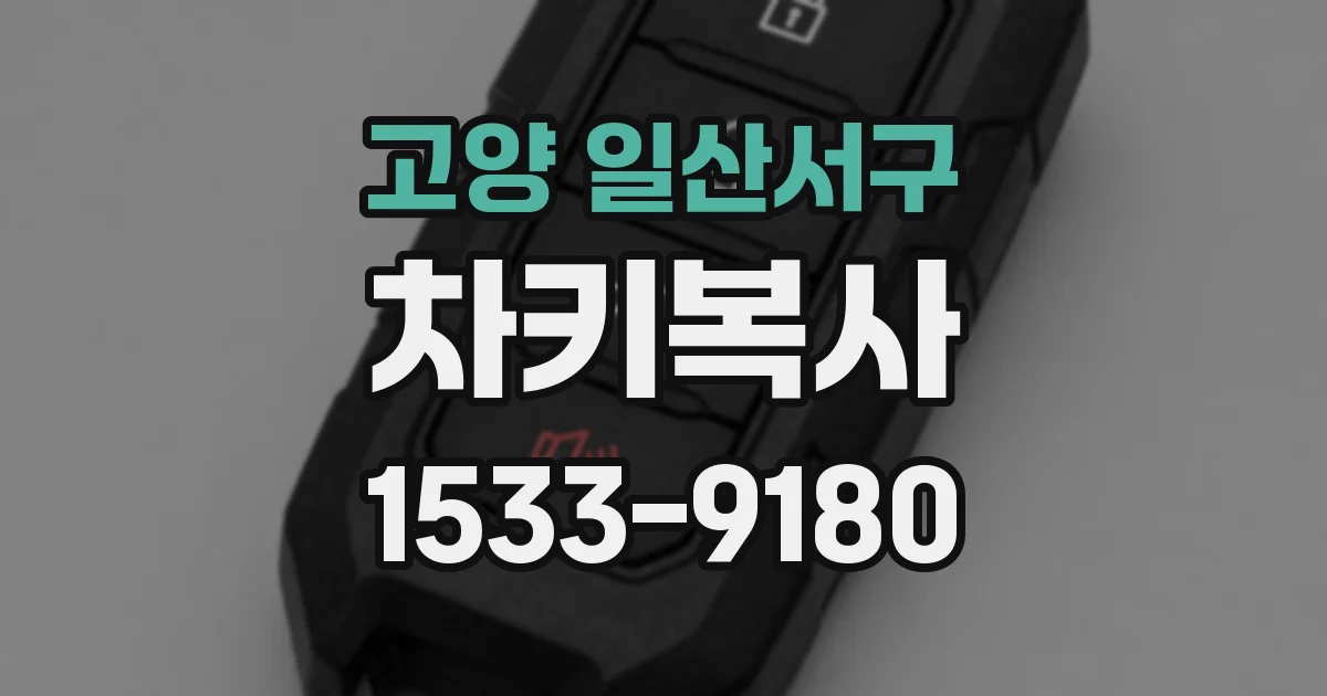 고양 일산서구 차키복사