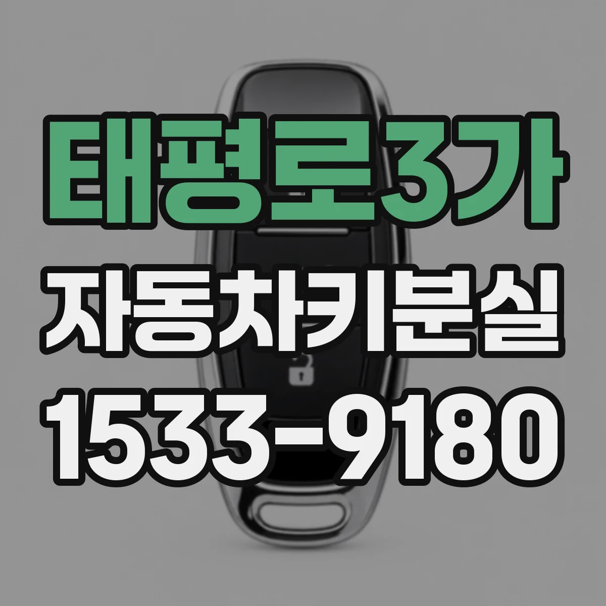 태평로3가 자동차키분실
