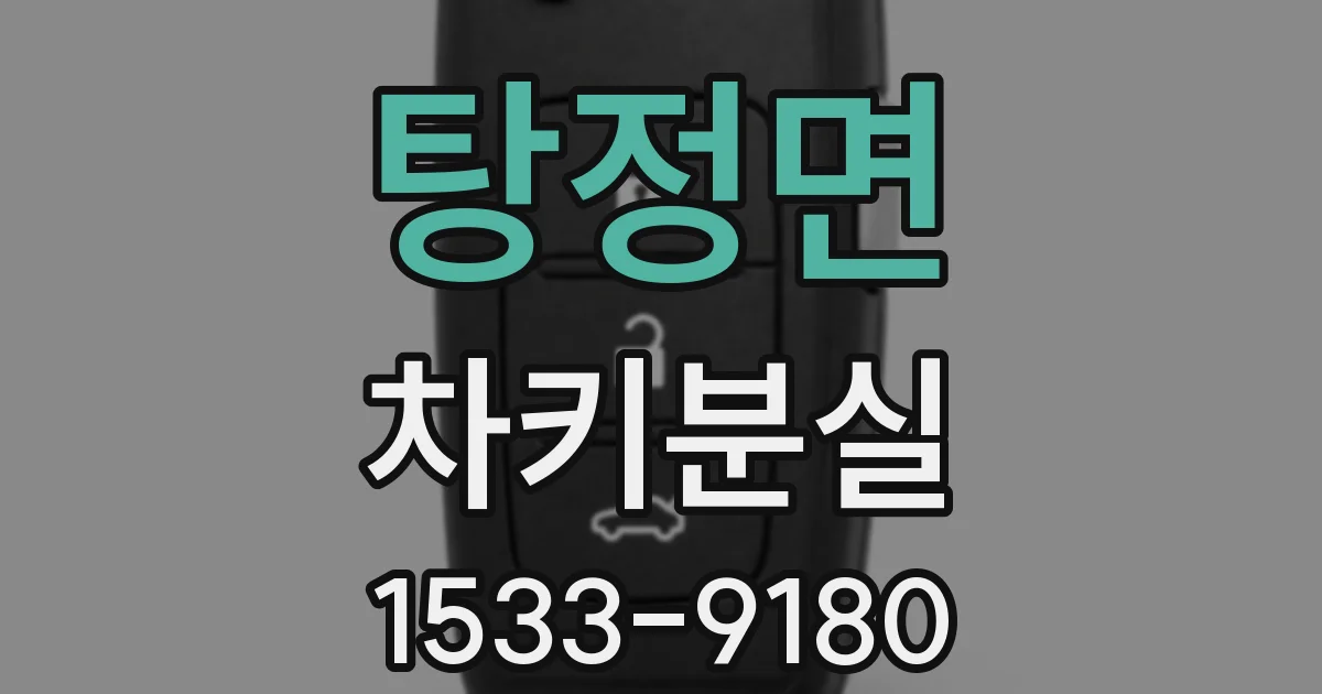 탕정면 차키분실
