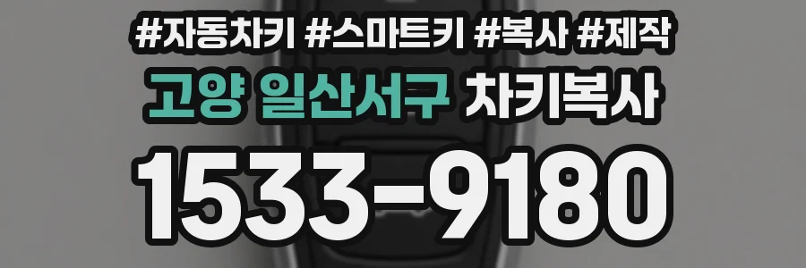 고양 일산서구 차키복사