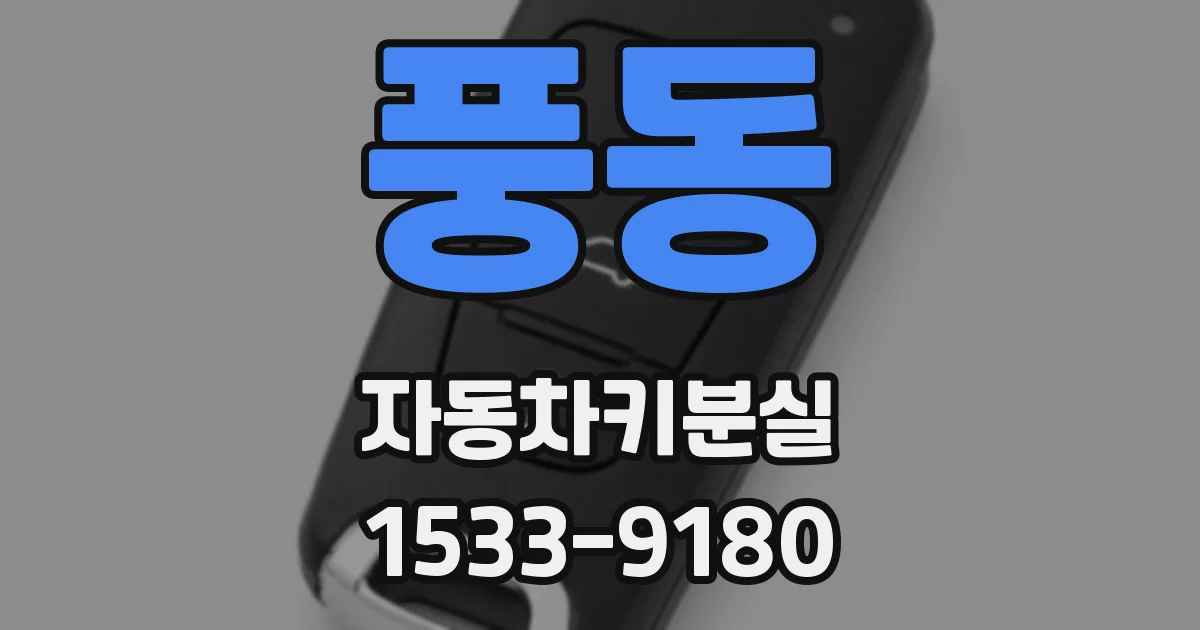 풍동 자동차키분실
