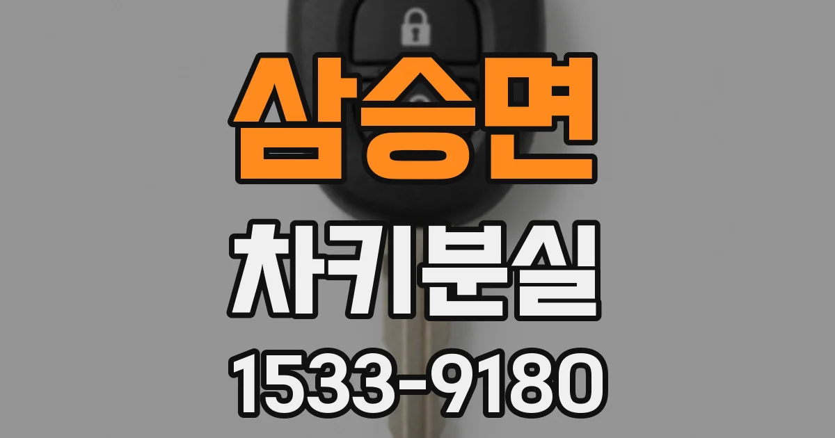 삼승면 차키분실