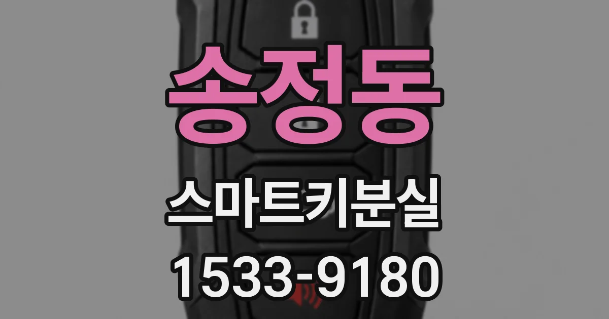 송정동 스마트키분실