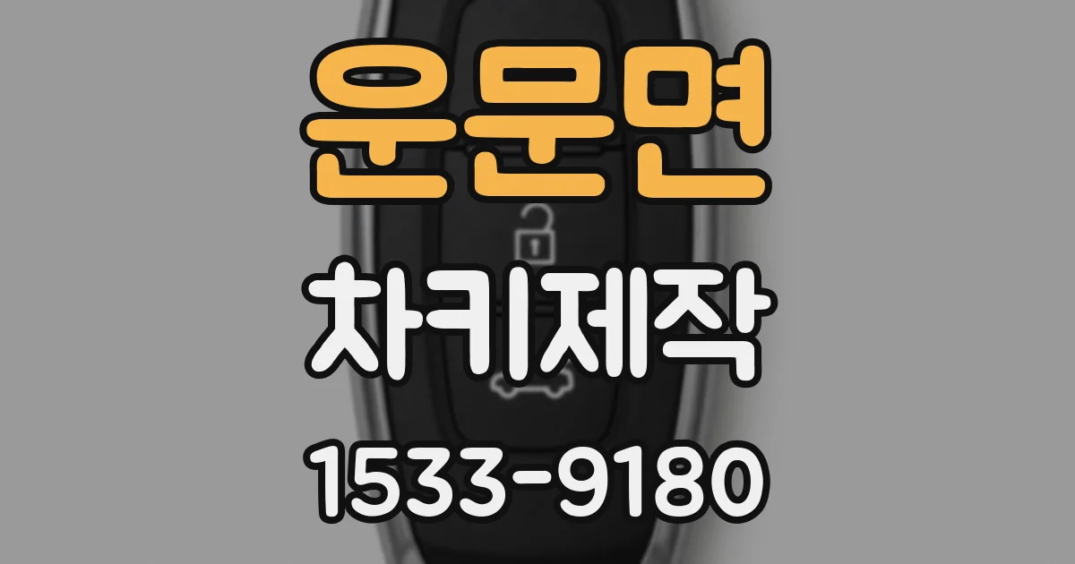 운문면 차키제작