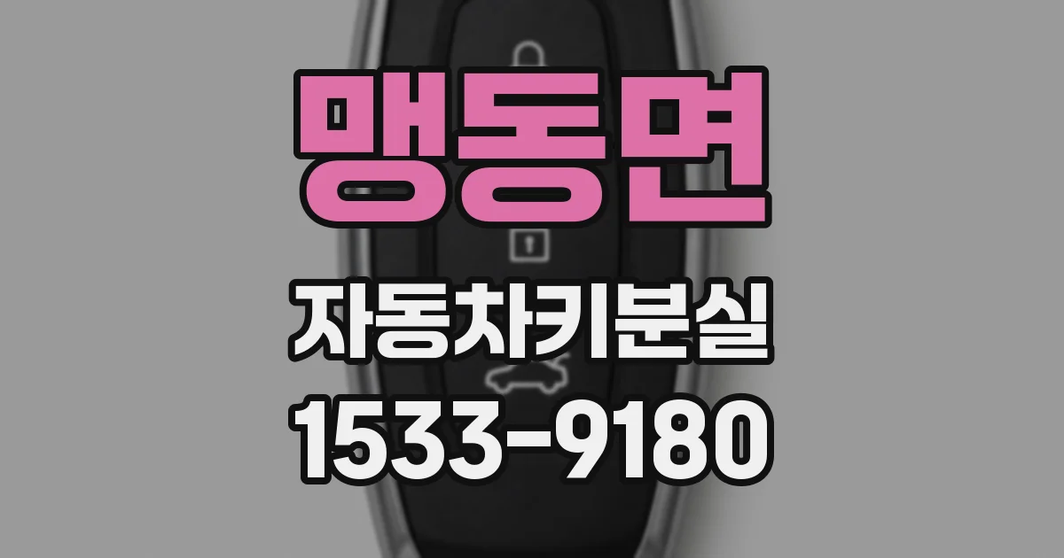 맹동면 자동차키분실