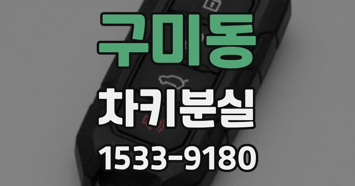 구미동 차키분실