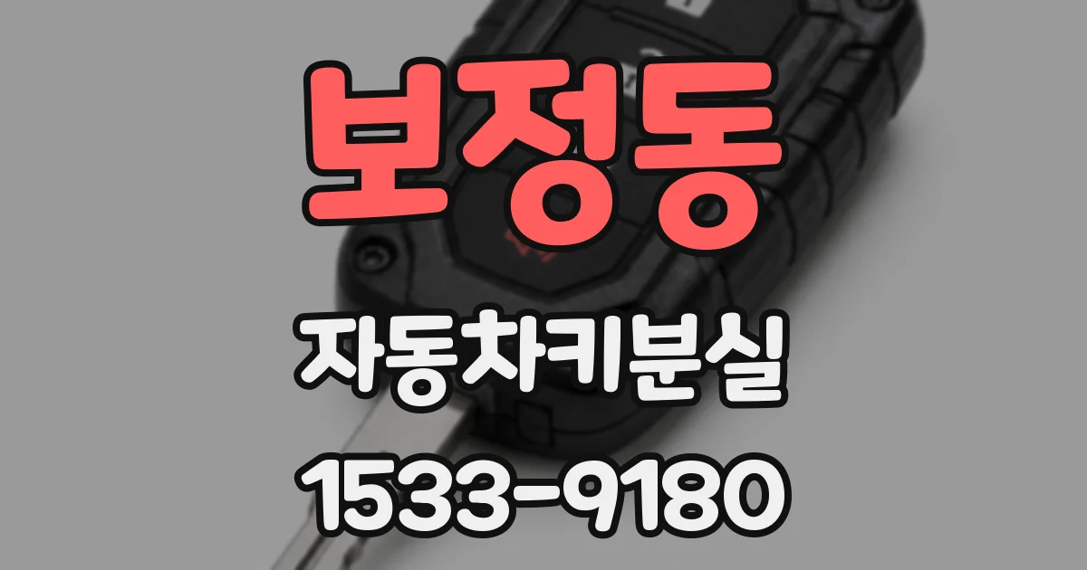 보정동 자동차키분실
