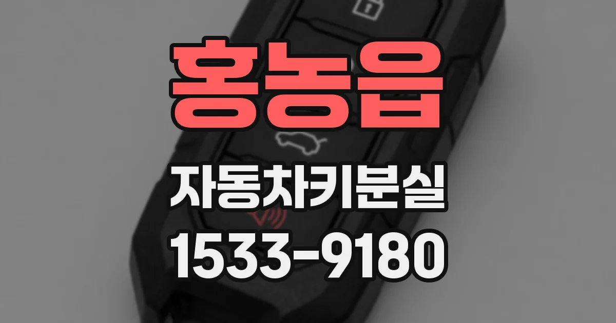 홍농읍 자동차키분실