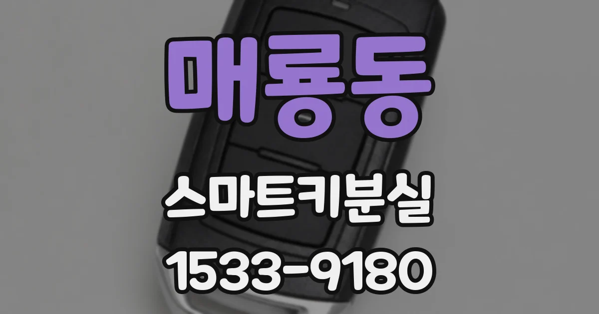 매룡동 스마트키분실
