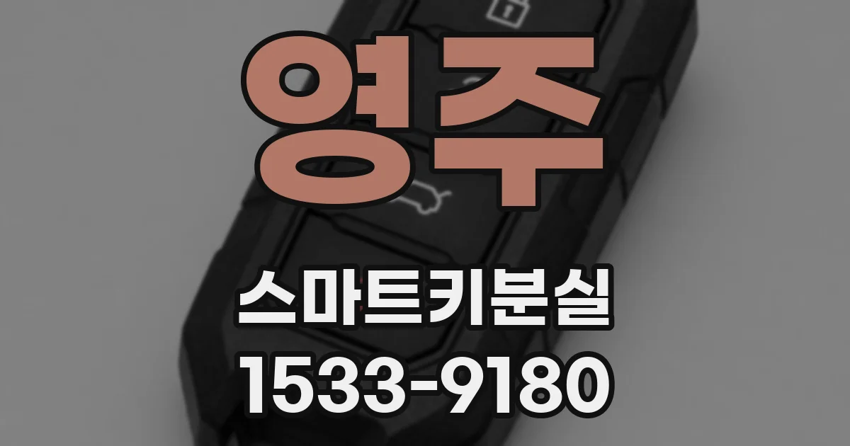 영주 스마트키분실