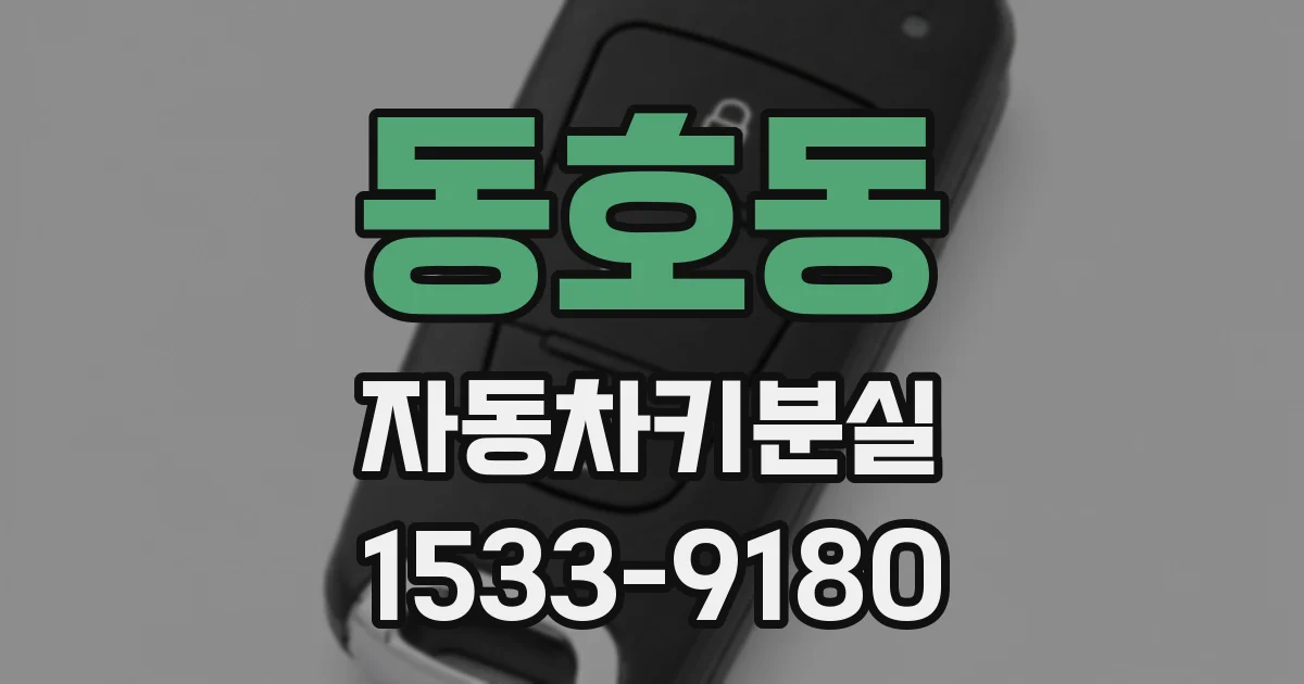 동호동 자동차키분실