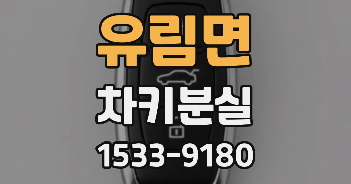 유림면 차키분실