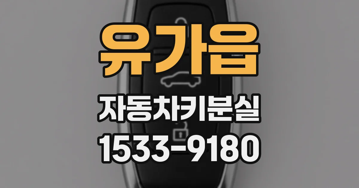 유가읍 자동차키분실