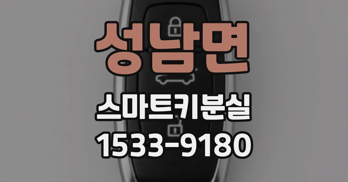 성남면 스마트키분실