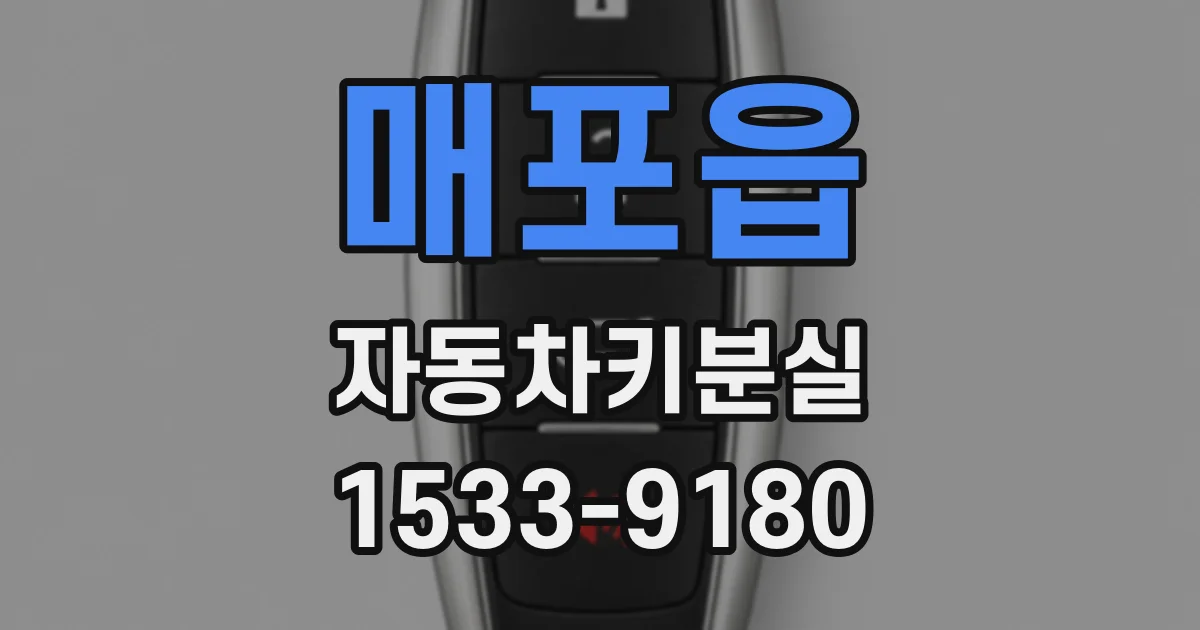 매포읍 자동차키분실