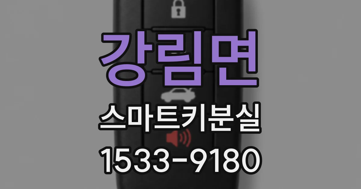 강림면 스마트키분실