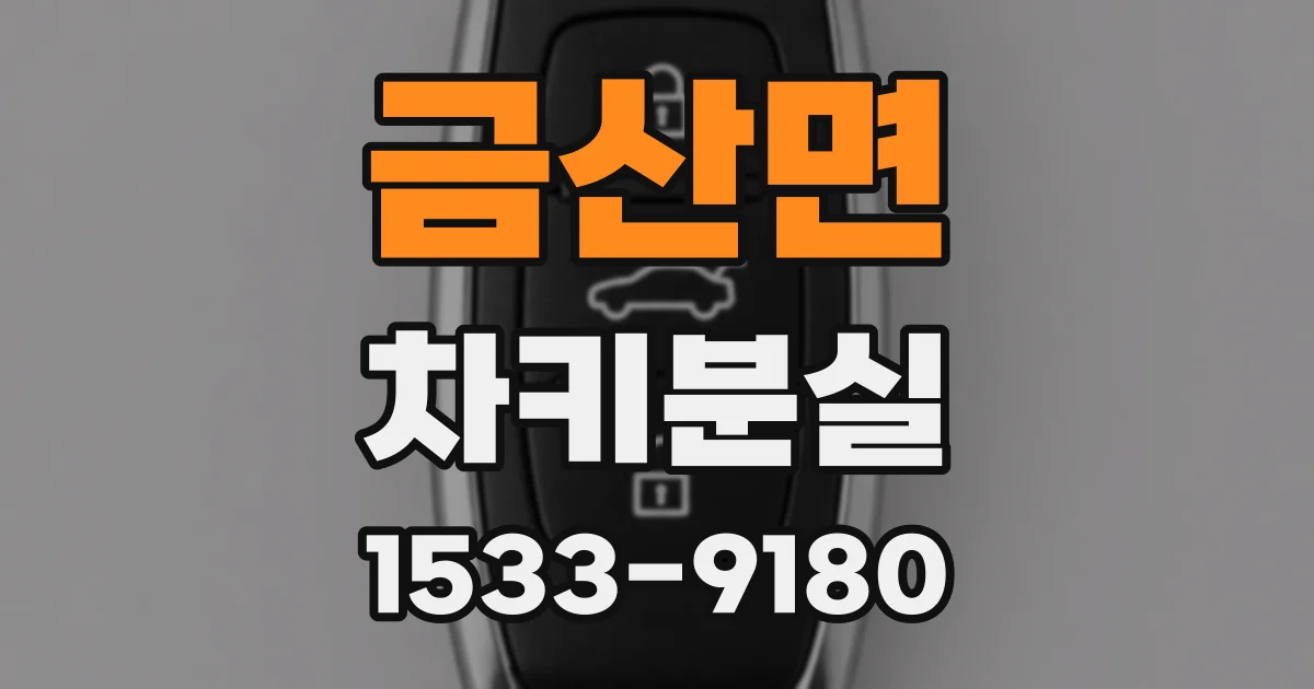금산면 차키분실