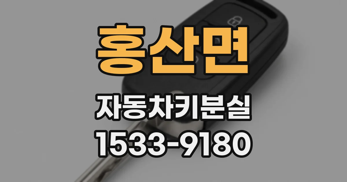 홍산면 자동차키분실
