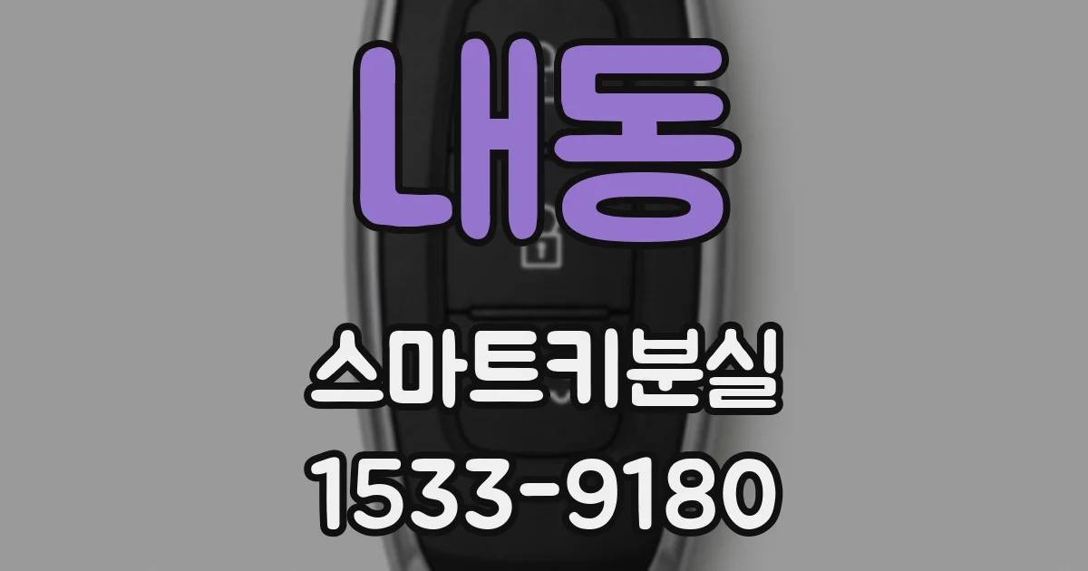 내동 스마트키분실