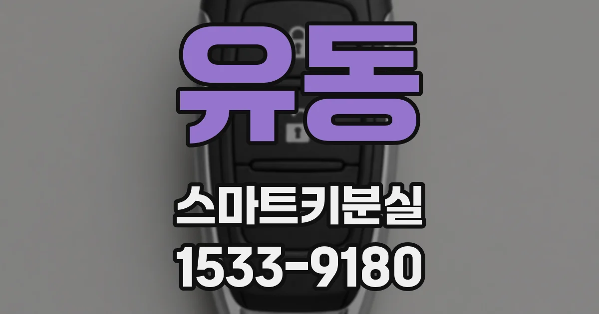 유동 스마트키분실