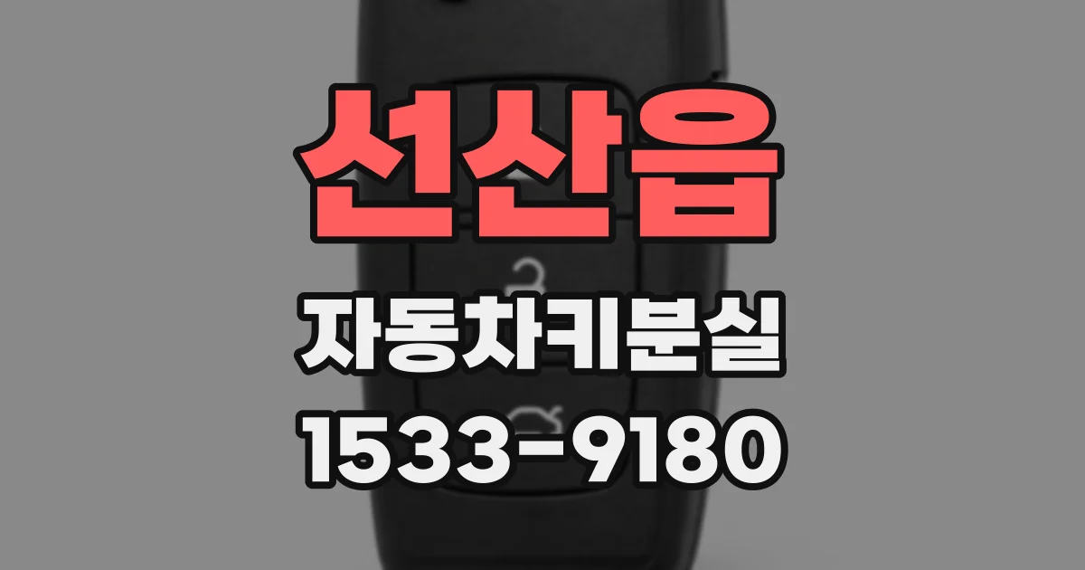 선산읍 자동차키분실