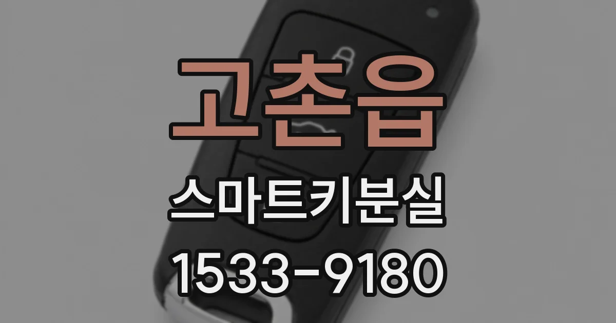 고촌읍 스마트키분실