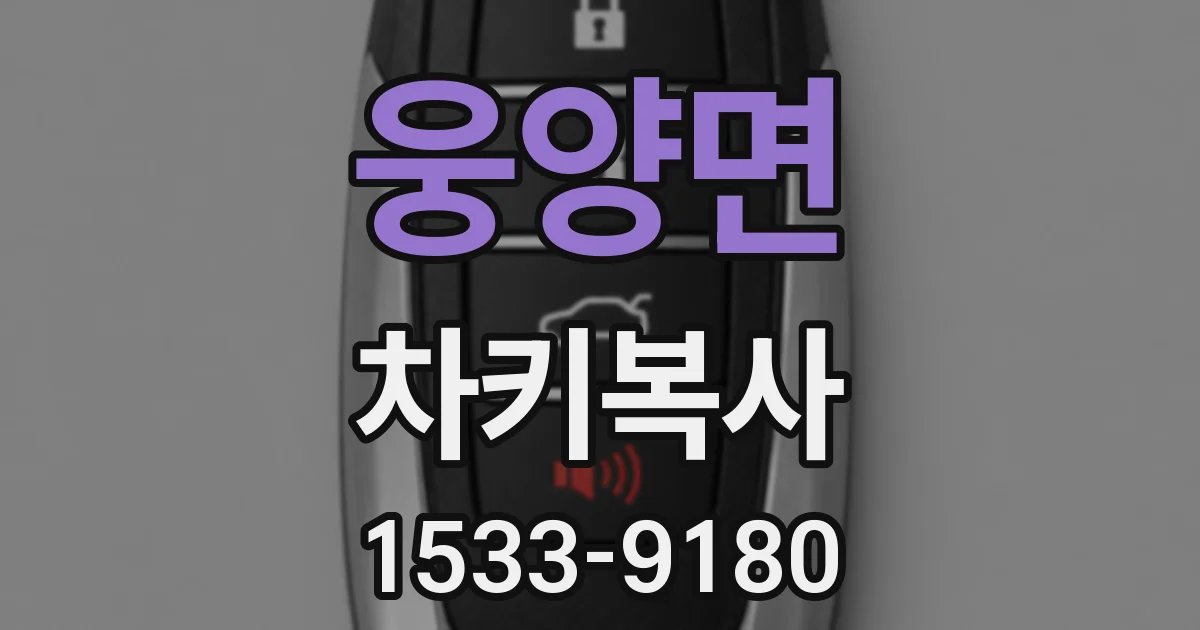 웅양면 차키복사