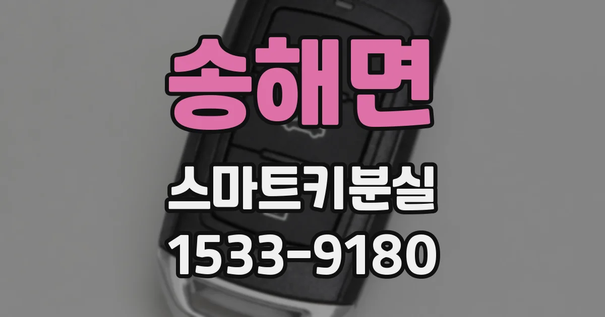 송해면 스마트키분실