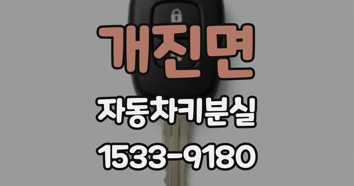 개진면 자동차키분실