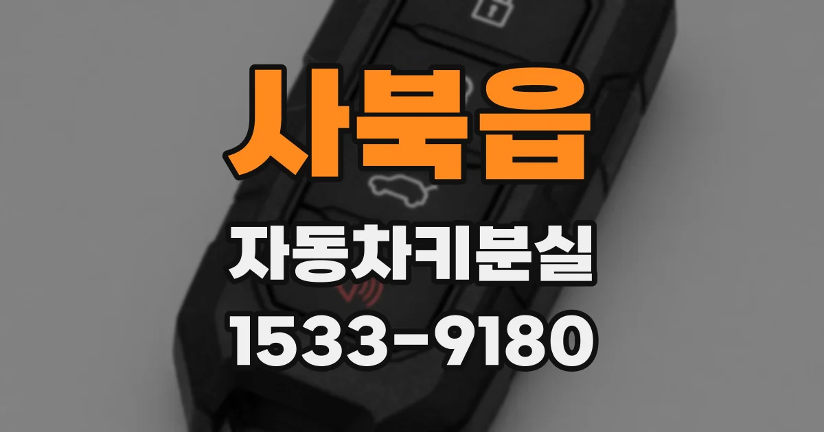 사북읍 자동차키분실