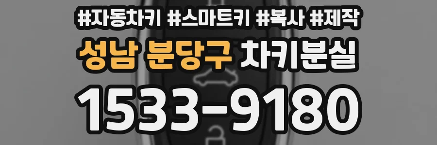 성남 분당구 차키분실