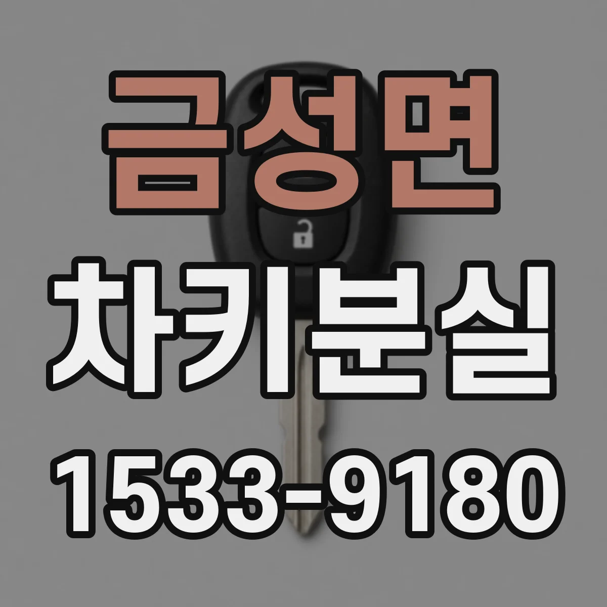 금성면 차키분실