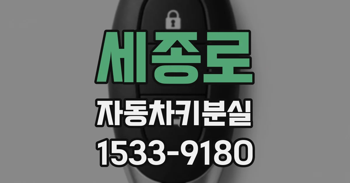 세종로 자동차키분실