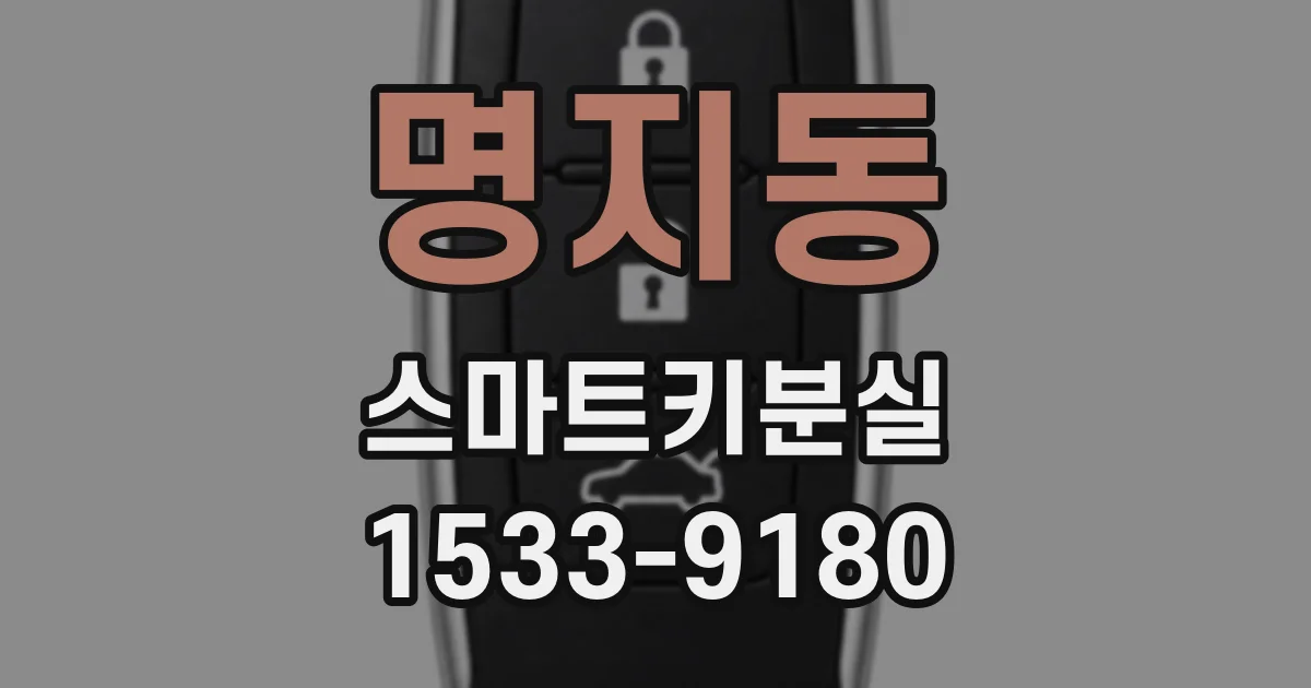 명지동 스마트키분실
