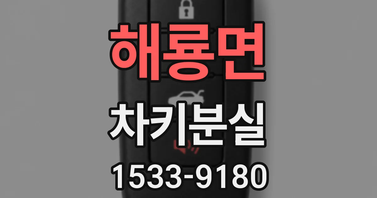 해룡면 차키분실