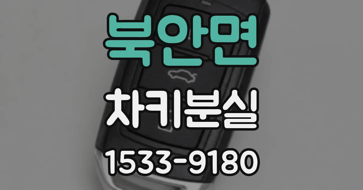 북안면 차키분실