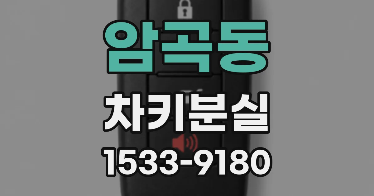 암곡동 차키분실