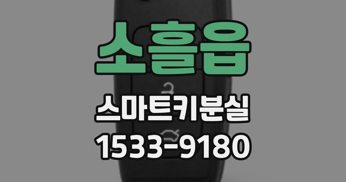 소흘읍 스마트키분실