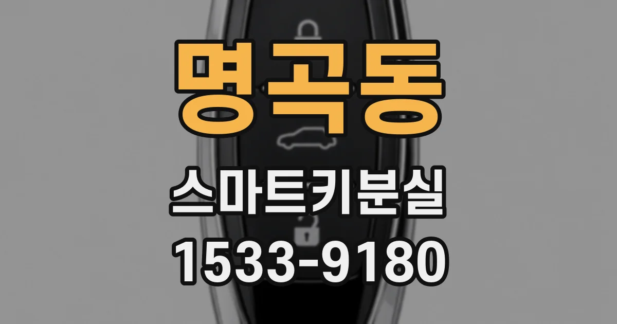 명곡동 스마트키분실