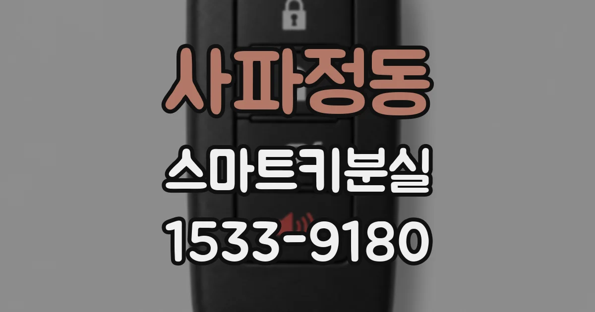 사파정동 스마트키분실