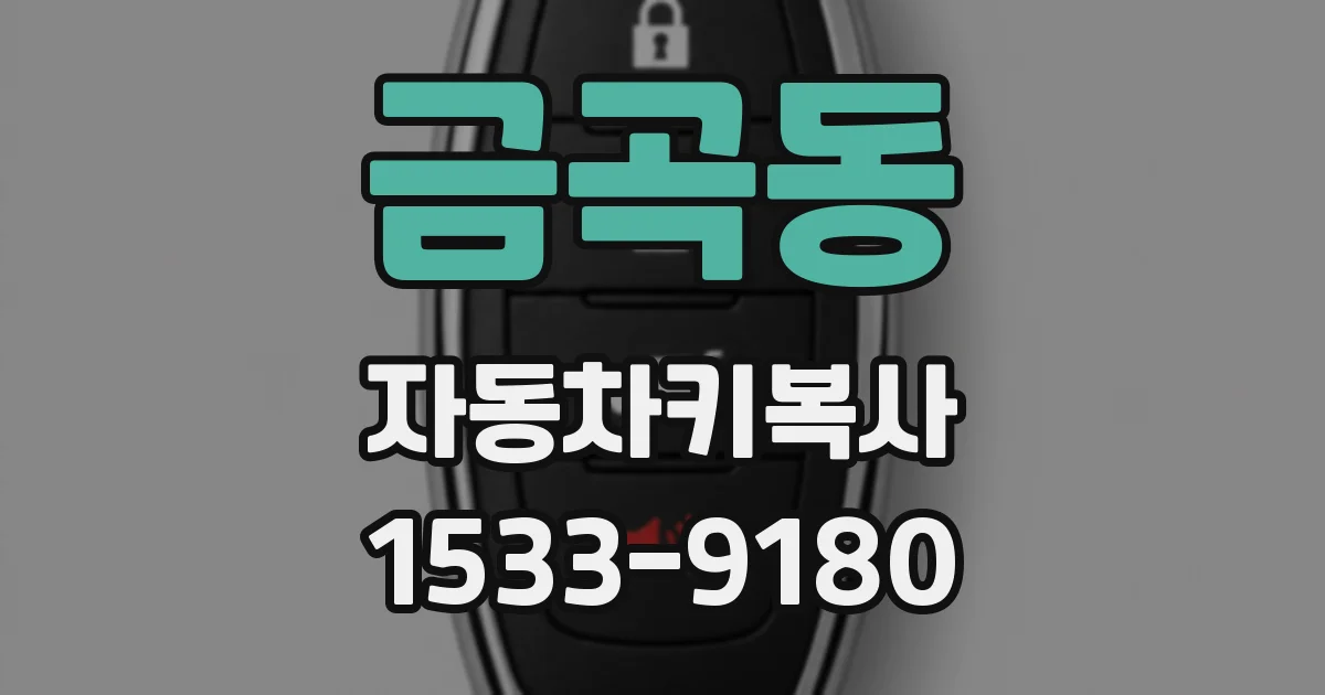 금곡동 자동차키복사
